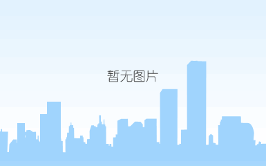 白领日记是什么